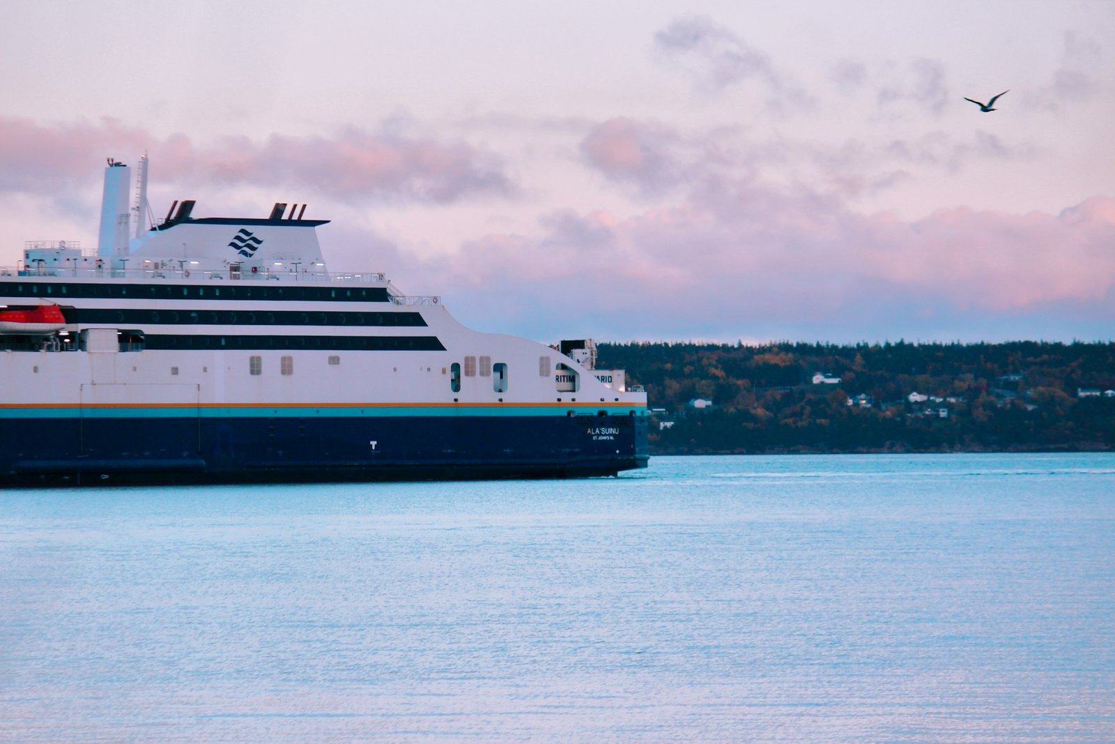 استراتيجيات